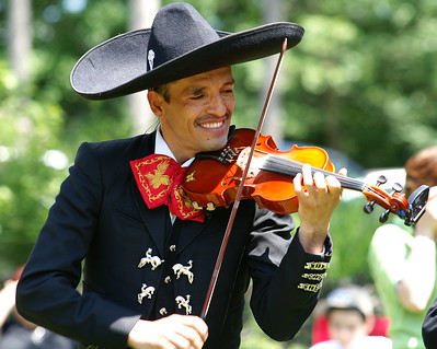 Mariachi violín