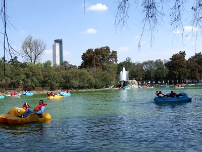 Paddle boating in the lake of Chapultepec park in Mexico City