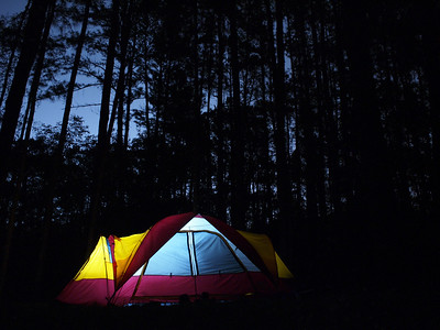 Tent night in the forest