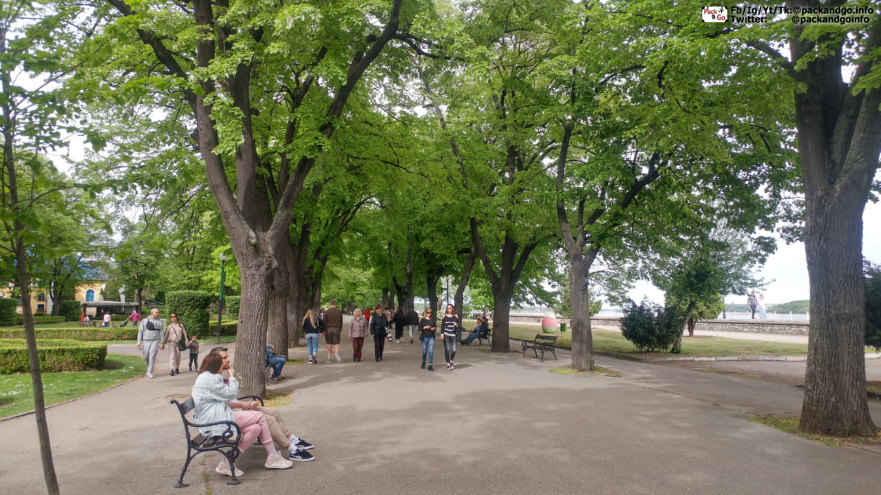 A park with trees and benches