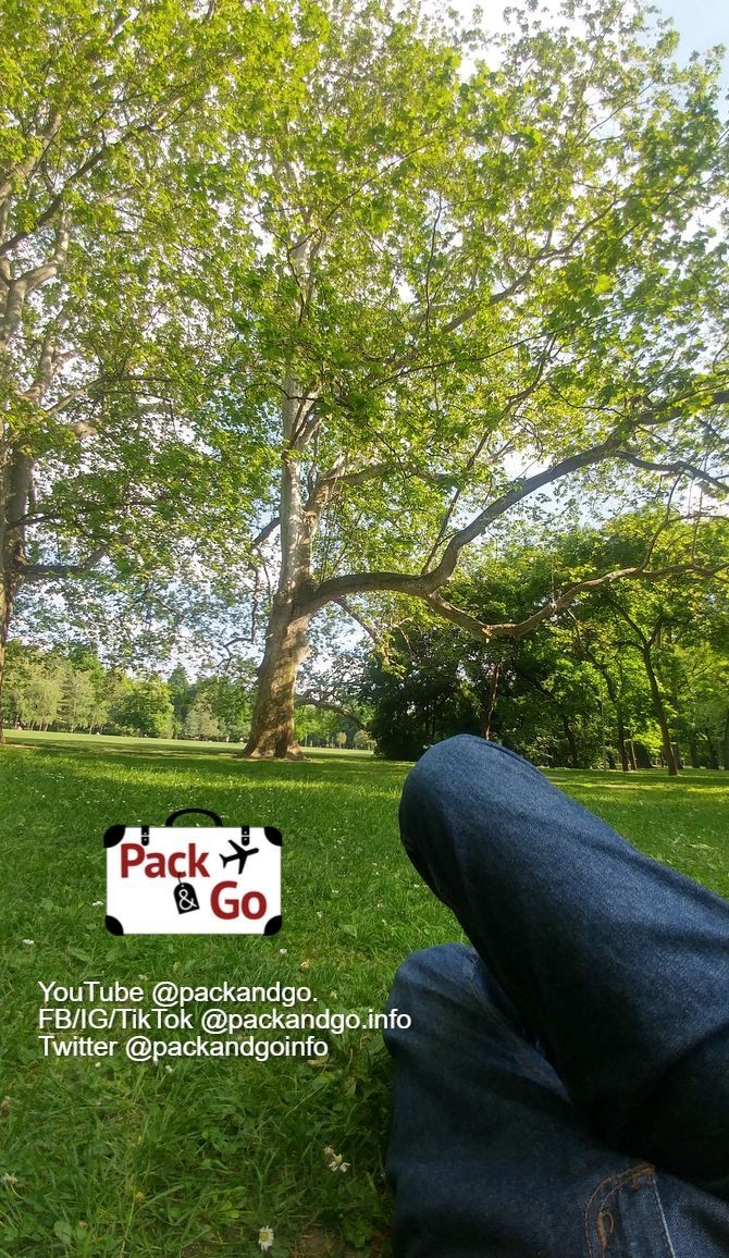 Man on the grass