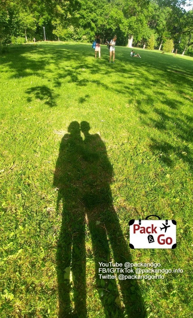 Couple's shadows reflected on the grass